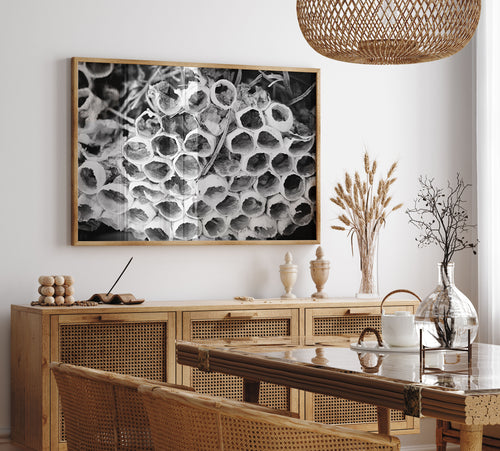 Bee Hive Black and White Fine Art Print