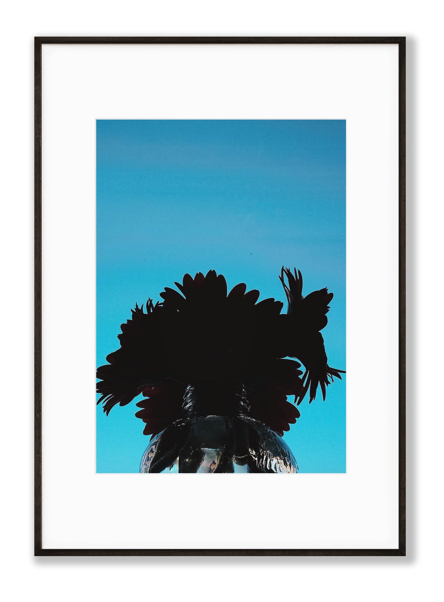 Silhouette of Serenity Fine Art Print