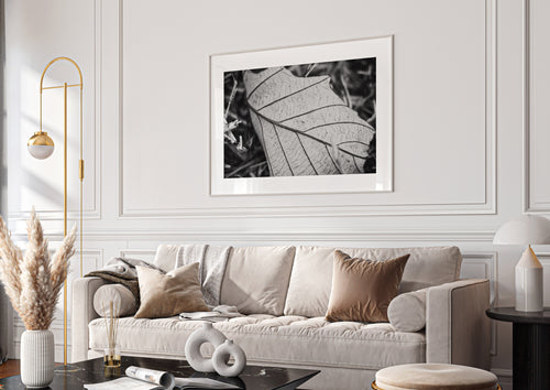 Black & White Leaf Fine Art Print